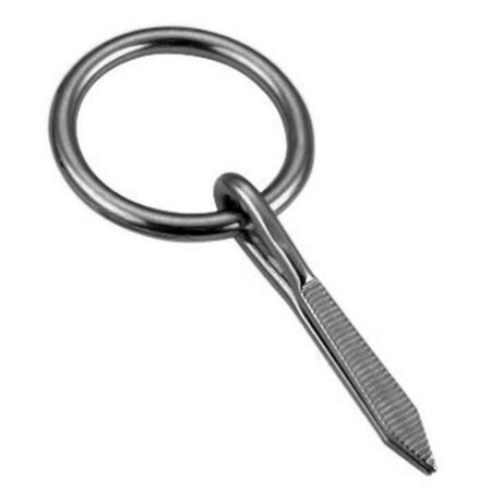 Stainless Steel Nail in Ring